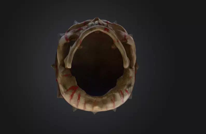 Crowned Skull Helmet with Blood Tears Low-poly 3D model_15