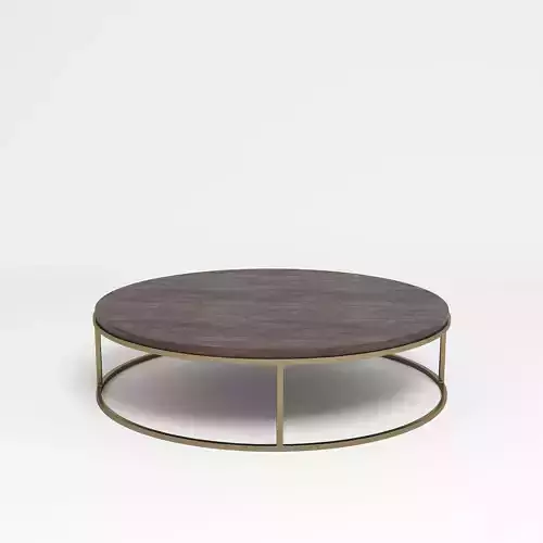 Ring Shaped Coffee Table - Golden and Wood