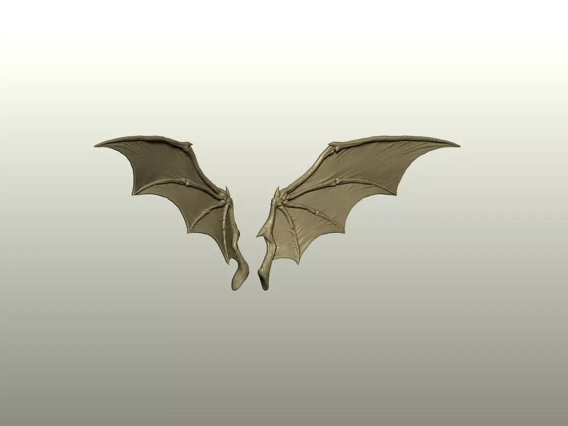 Fantasy Creature Wing 02 3D print model_1