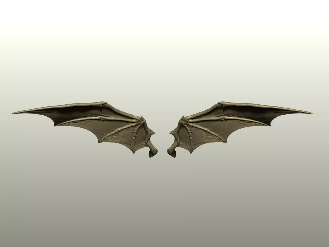 Fantasy Creature Wing 02 3D print model_3