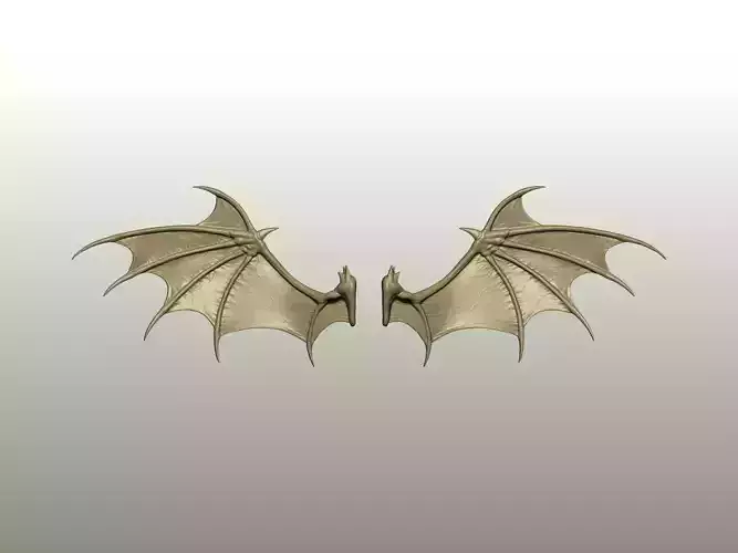 Fantasy Creature Wing 05