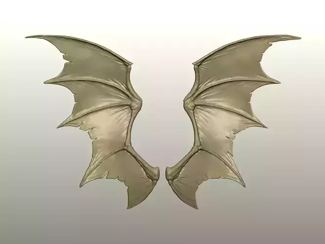 Fantasy Creature Wing 06