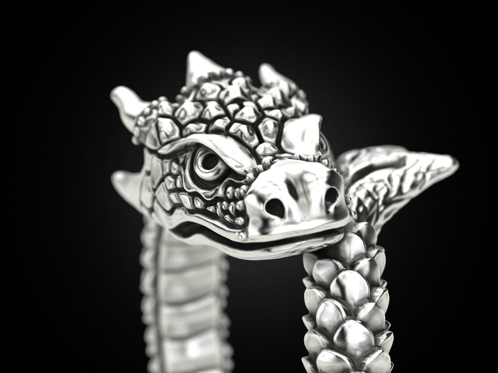 Ring A Dragon 3D print model_2