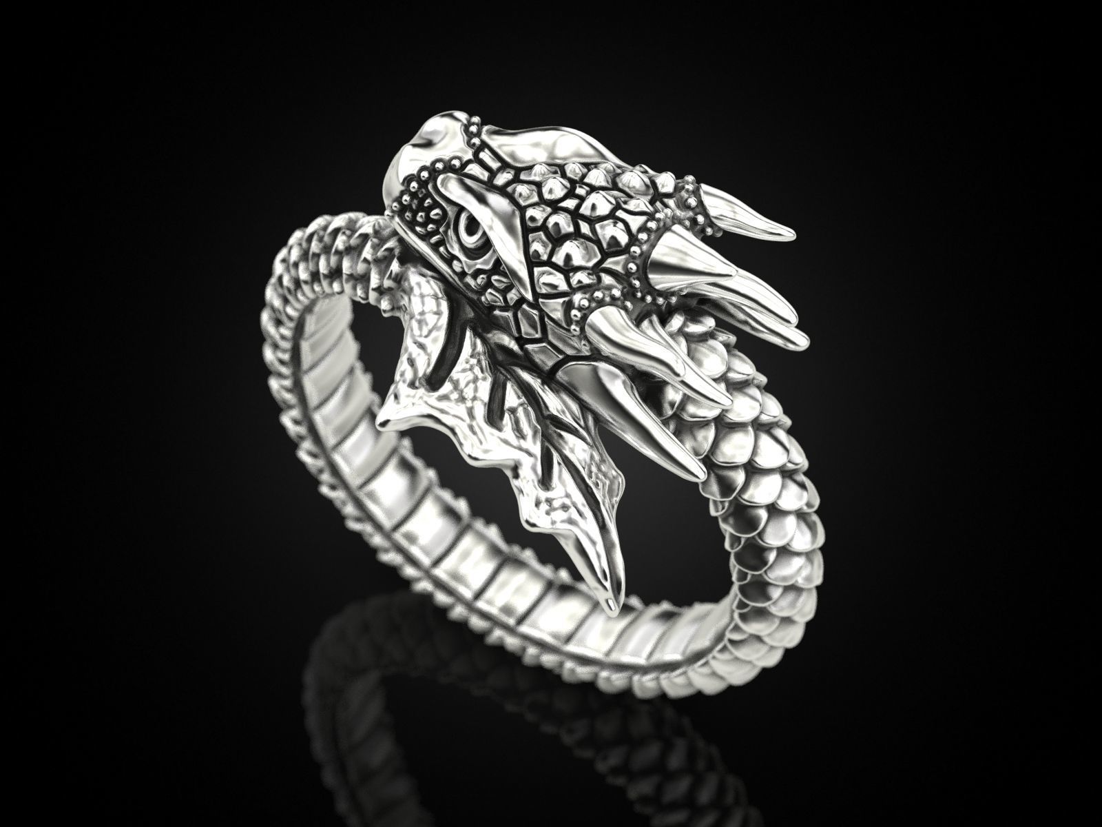 Ring A Dragon 3D print model_1