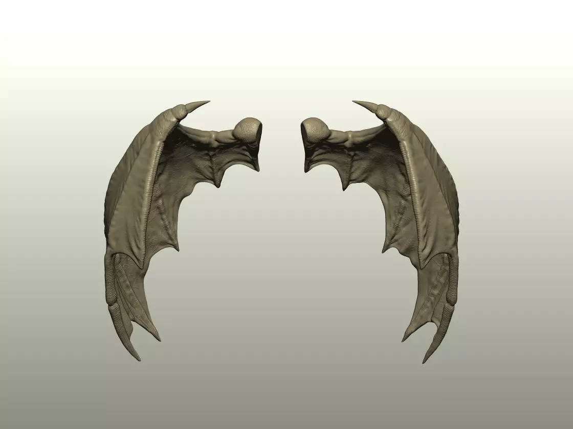 Fantasy Creature Wing 10 3D print model_3