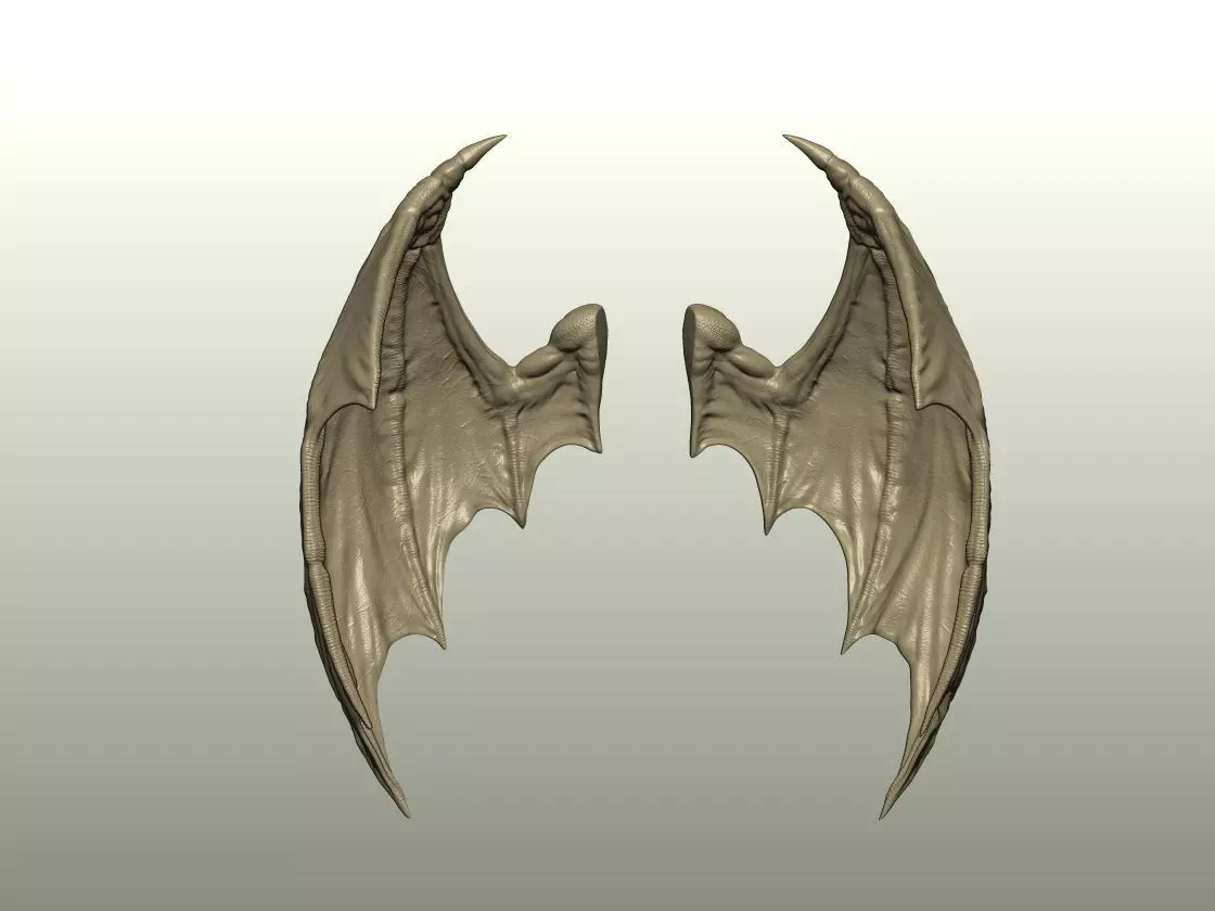 Fantasy Creature Wing 10 3D print model_0