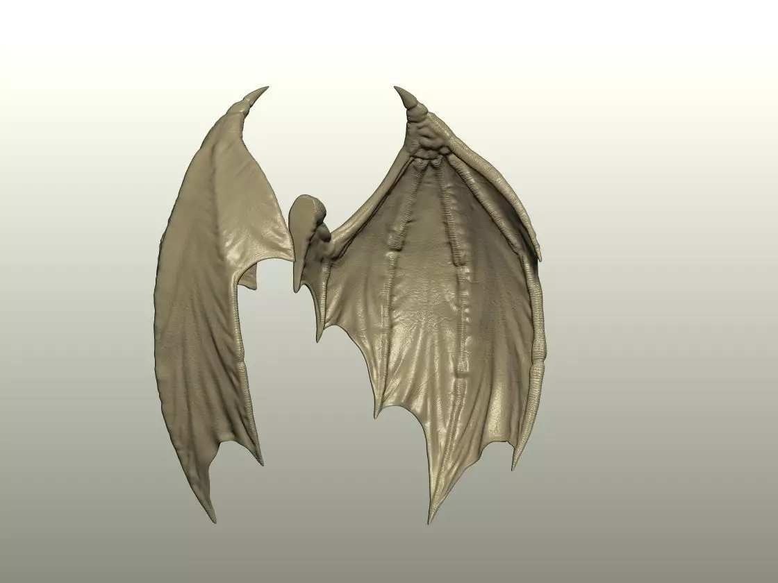 Fantasy Creature Wing 10 3D print model_1