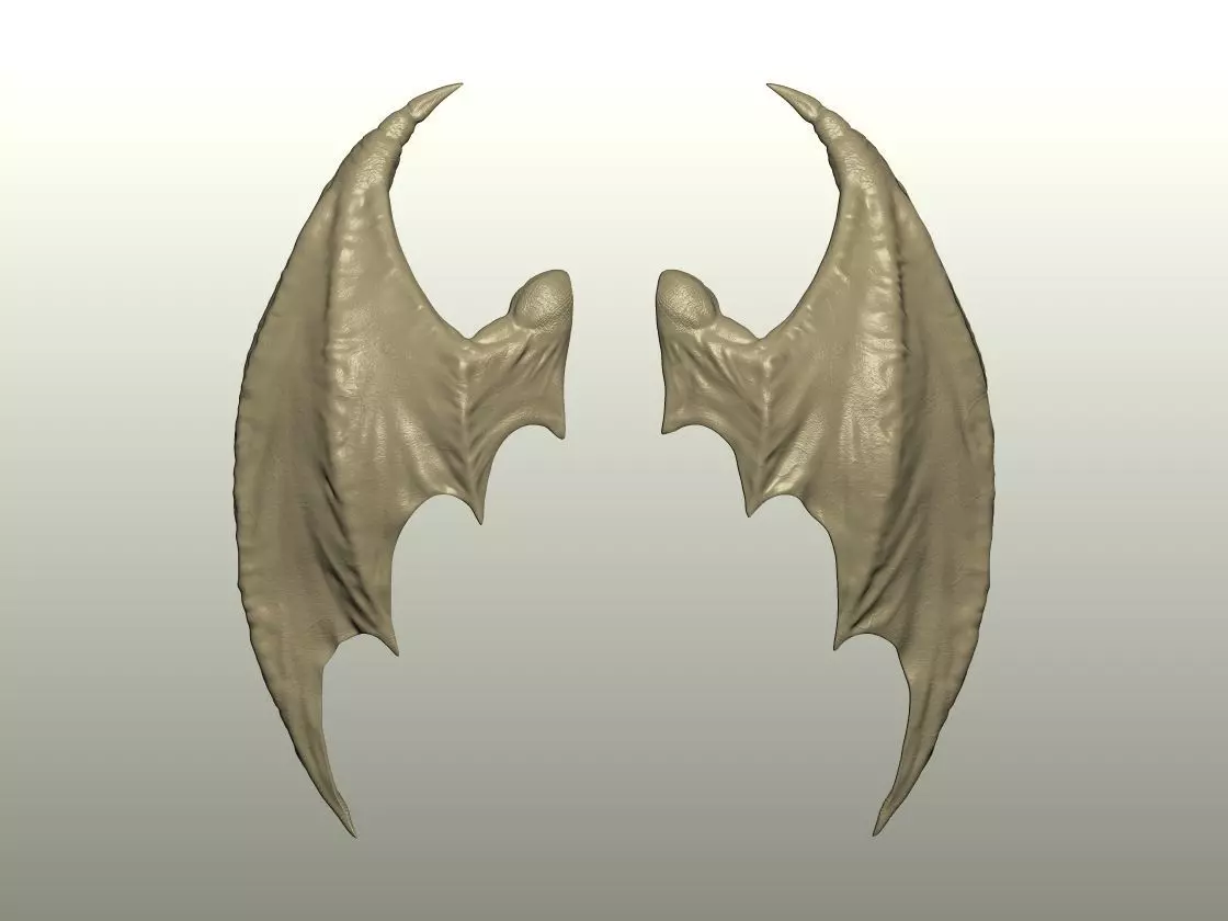 Fantasy Creature Wing 10 3D print model_2