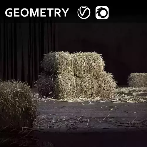 Straw bale GEOMETRY   SCATTER