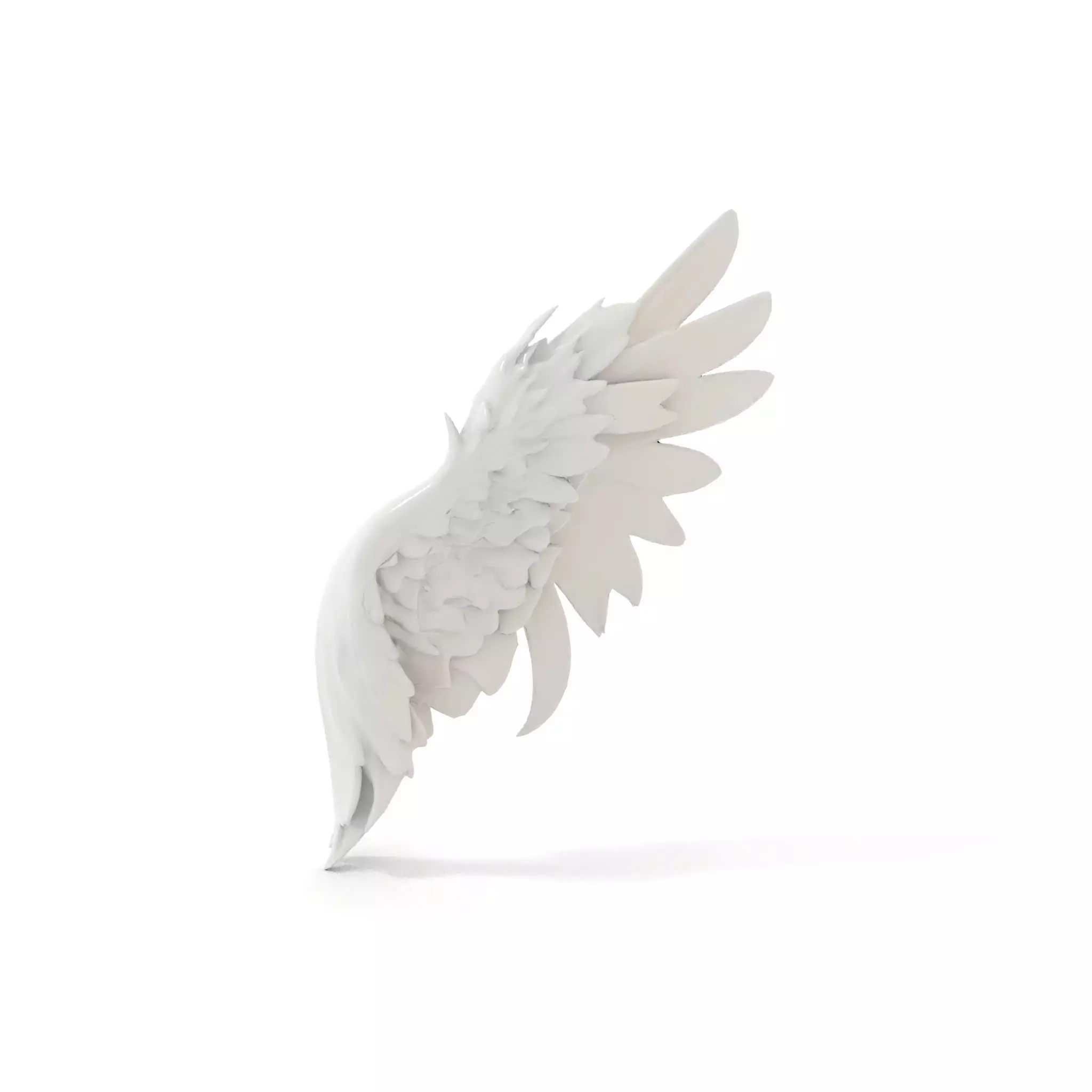 Elegant Feather Wing model pack Low-poly 3D model_7