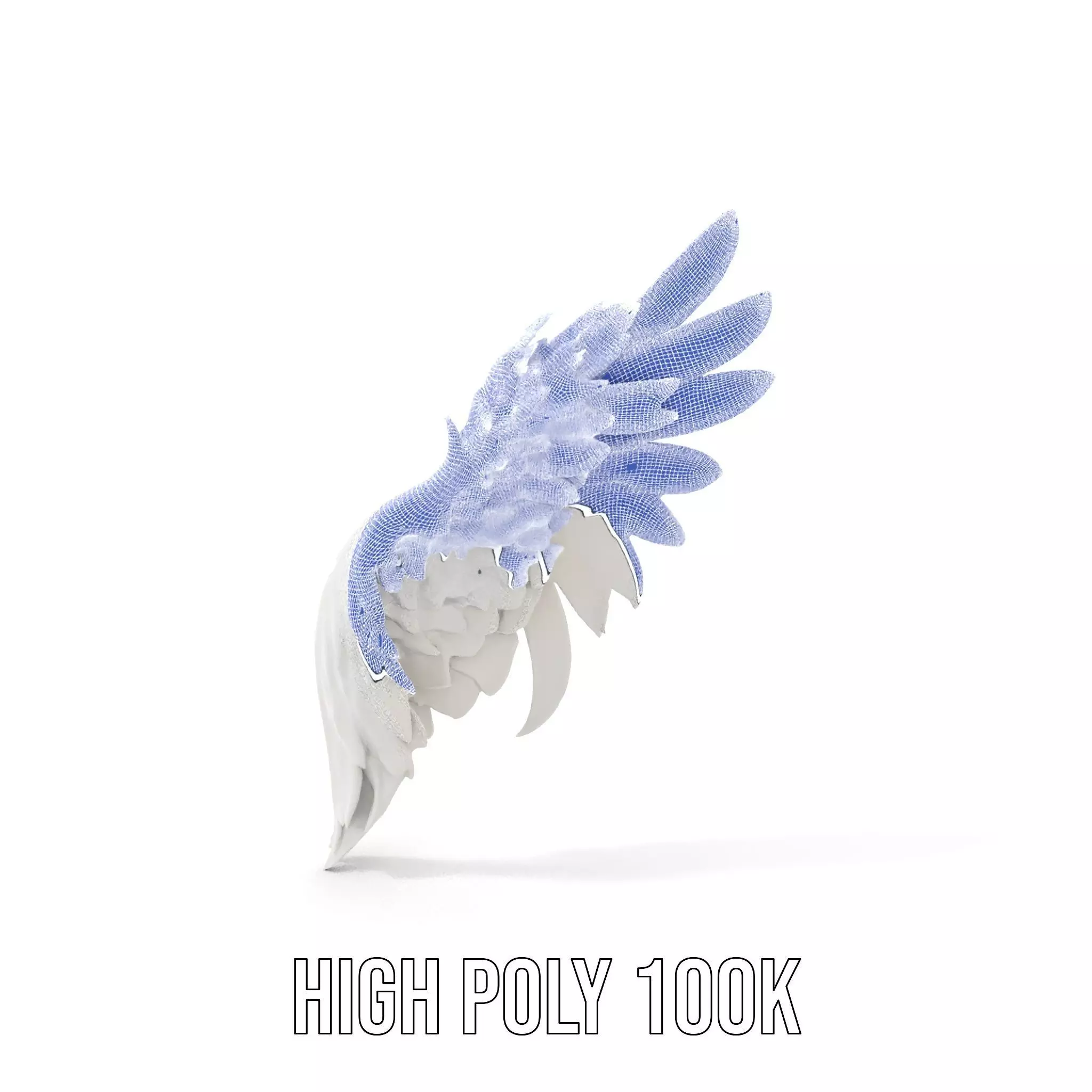 Elegant Feather Wing model pack Low-poly 3D model_5