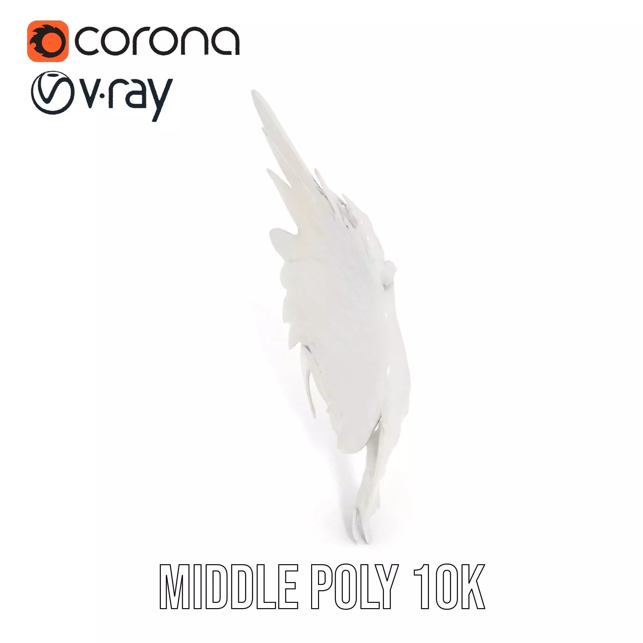 Elegant Feather Wing model pack Low-poly 3D model_6