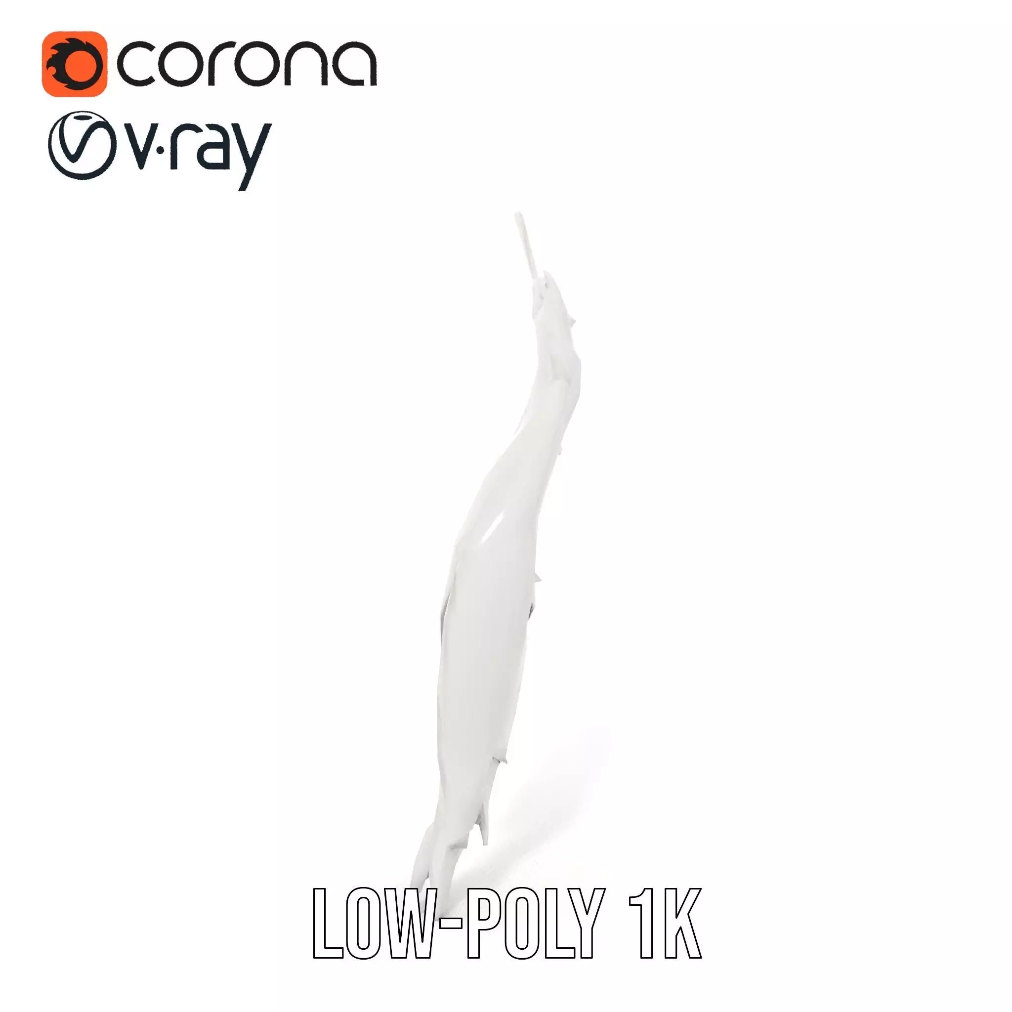 Elegant Feather Wing model pack Low-poly 3D model_15