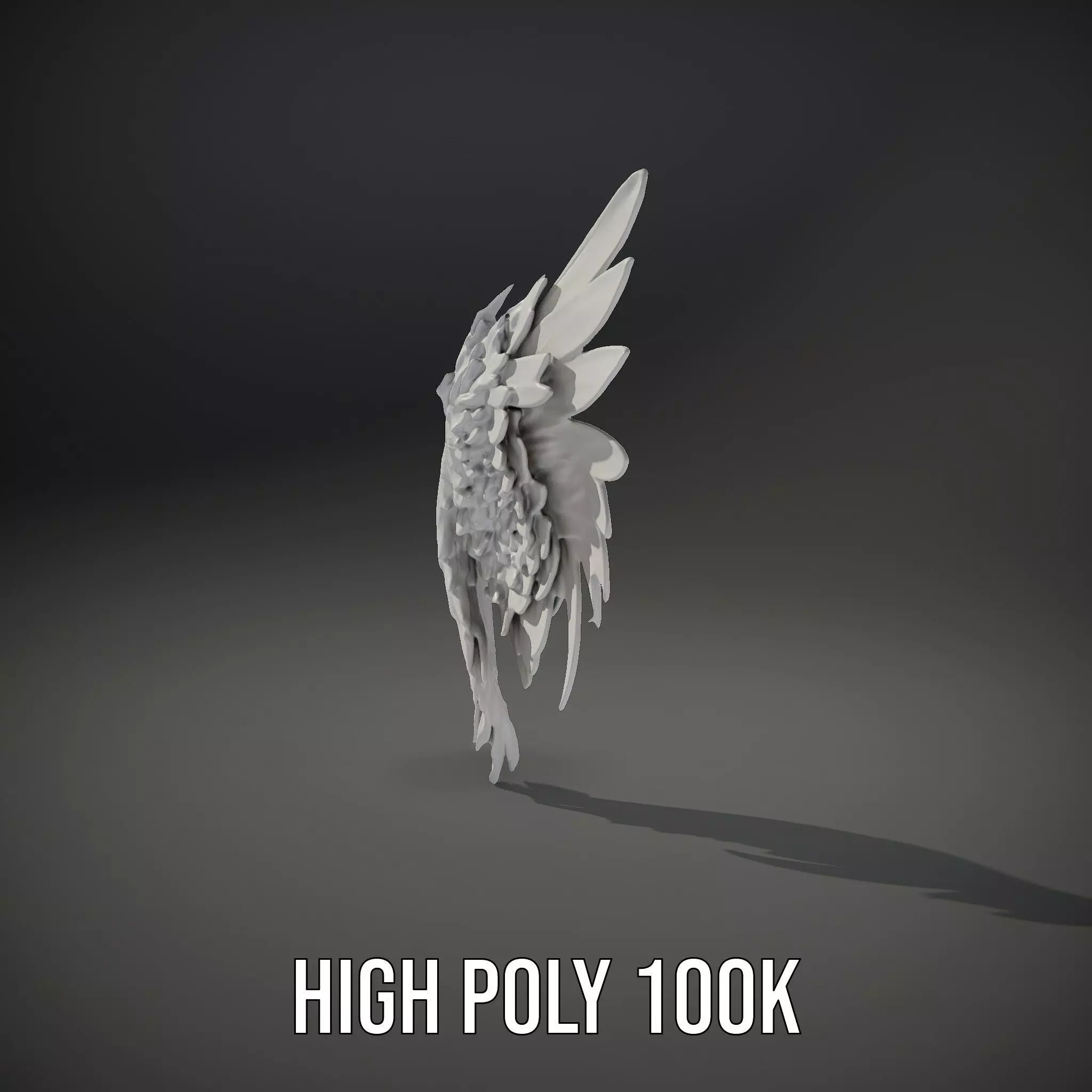 Elegant Feather Wing model pack Low-poly 3D model_11