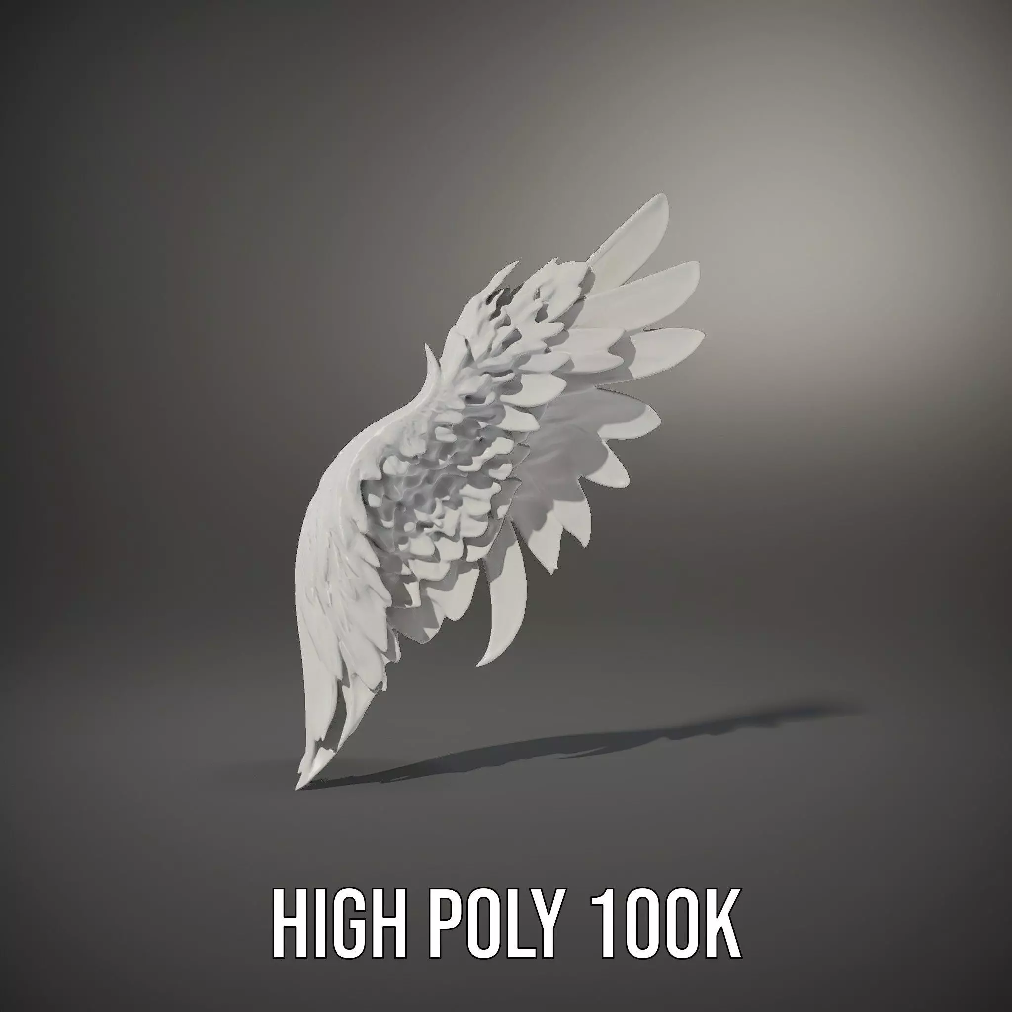 Elegant Feather Wing model pack Low-poly 3D model_9