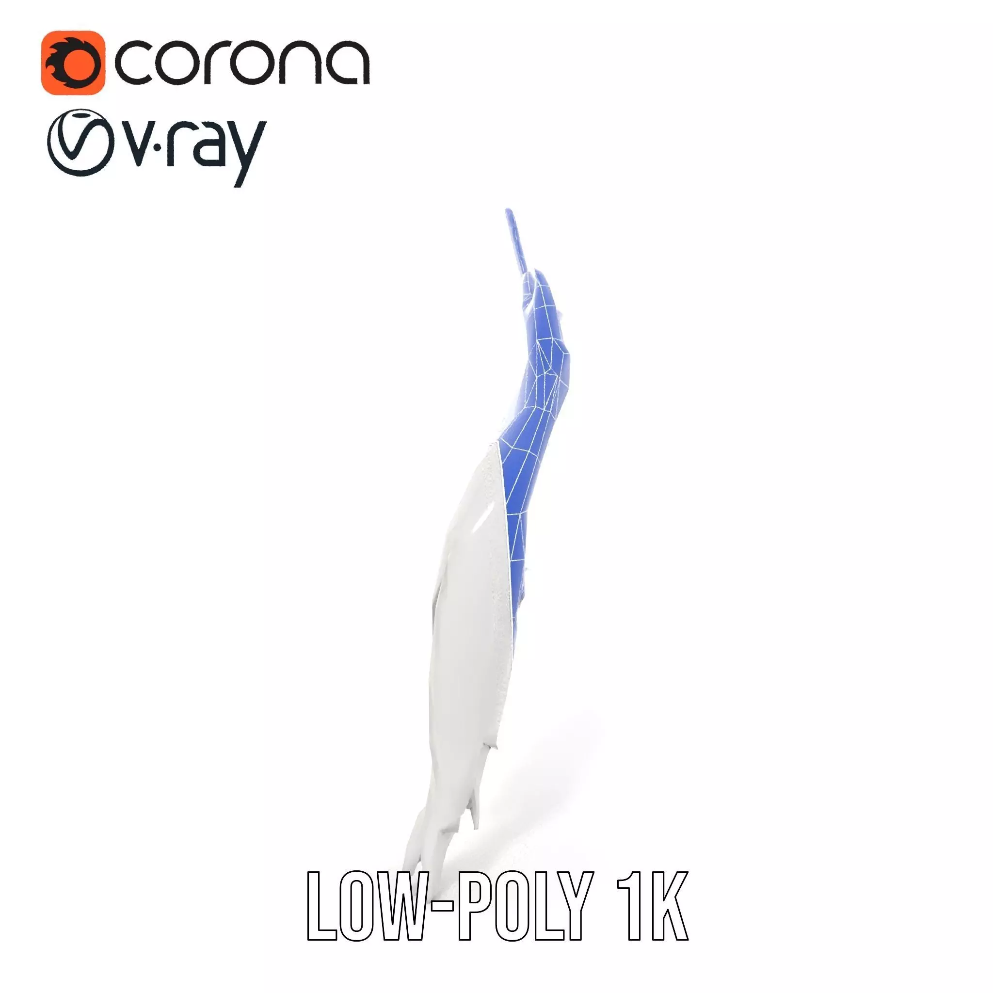 Elegant Feather Wing model pack Low-poly 3D model_23