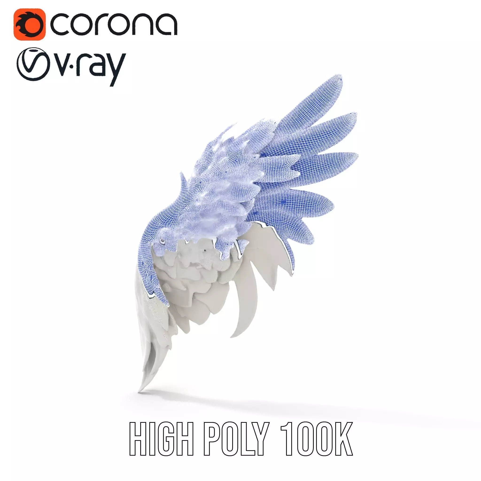Elegant Feather Wing model pack Low-poly 3D model_33