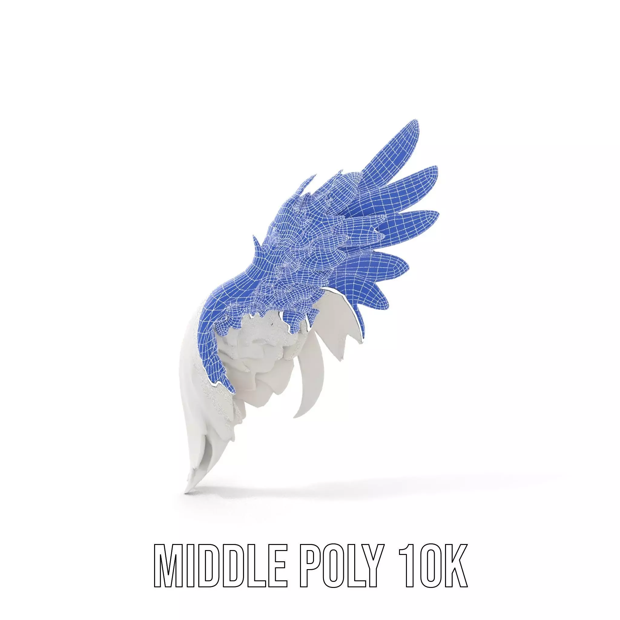 Elegant Feather Wing model pack Low-poly 3D model_20