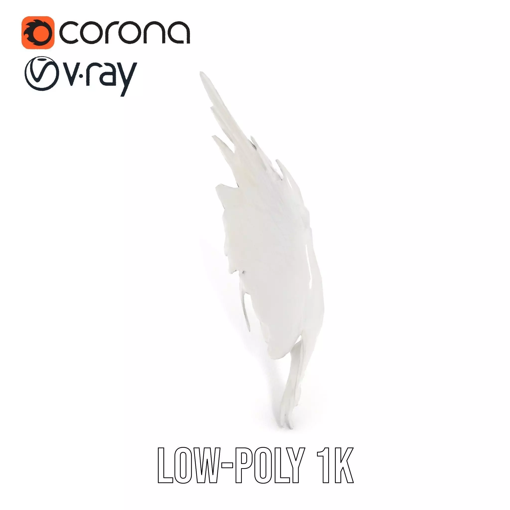 Elegant Feather Wing model pack Low-poly 3D model_10