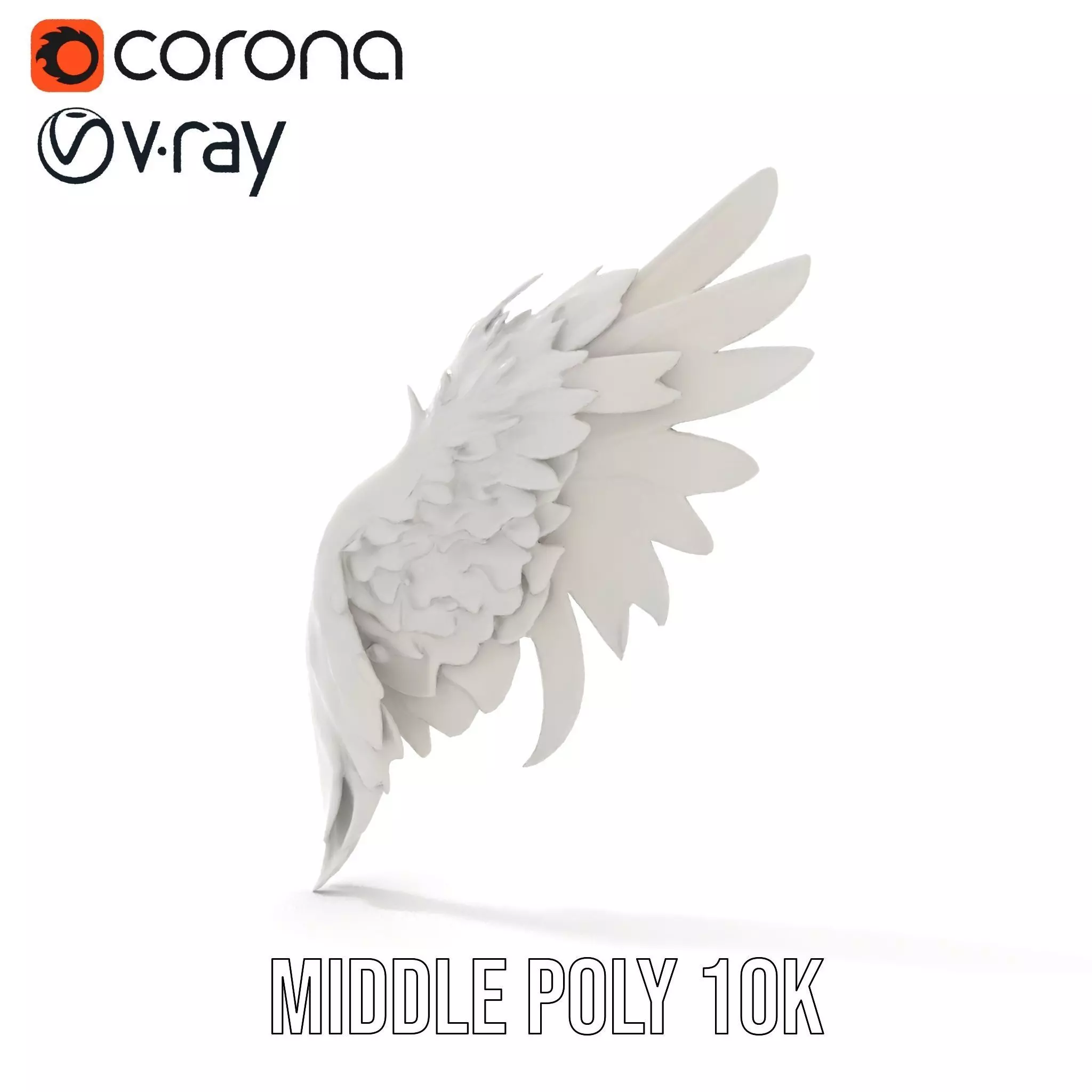 Elegant Feather Wing model pack Low-poly 3D model_12
