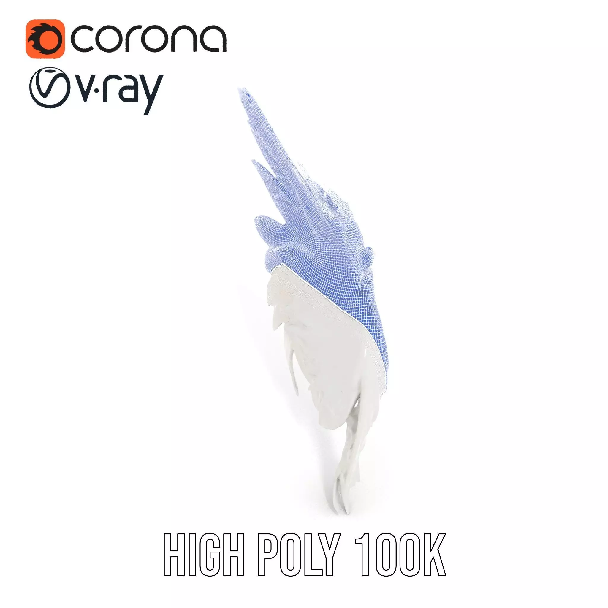 Elegant Feather Wing model pack Low-poly 3D model_34