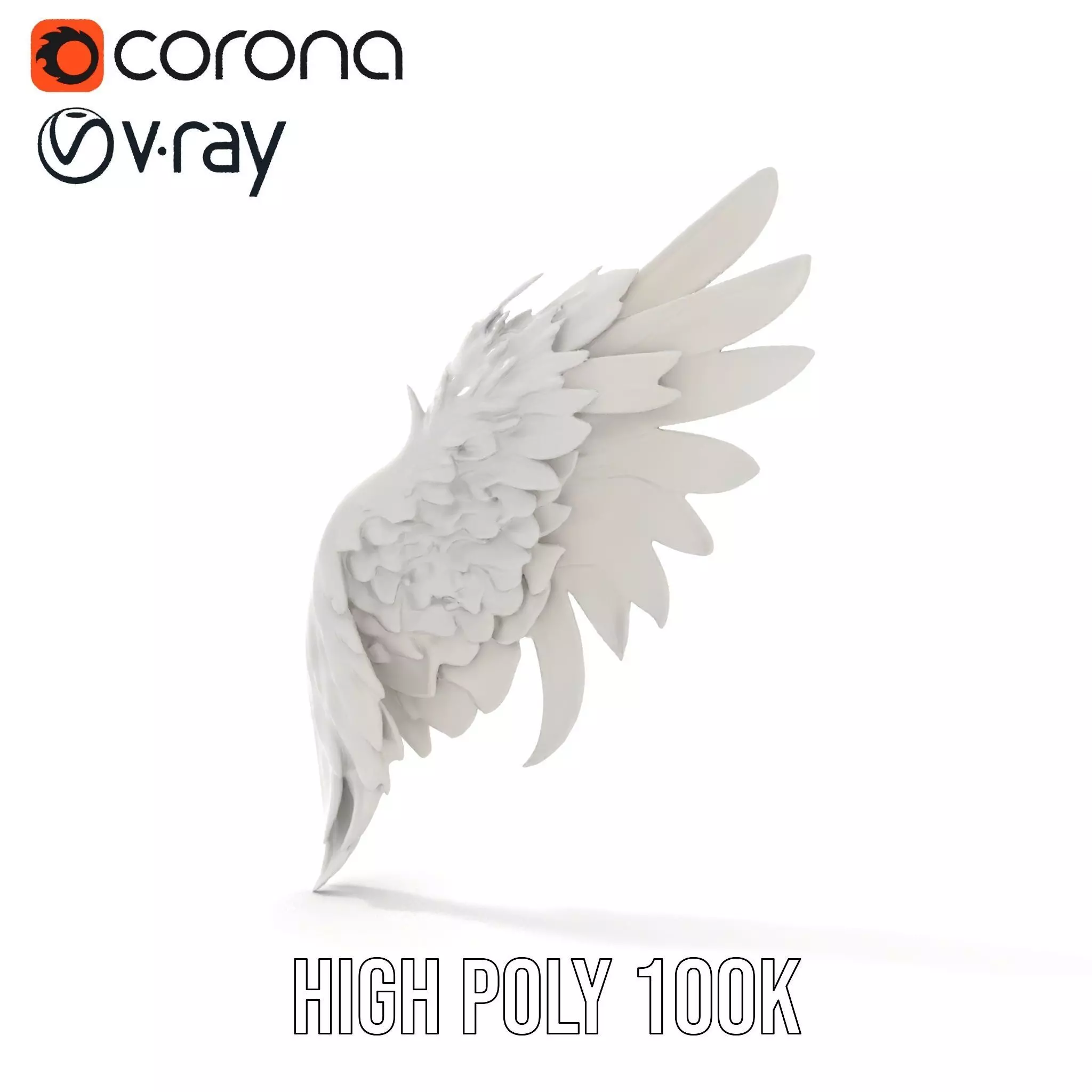 Elegant Feather Wing model pack Low-poly 3D model_24