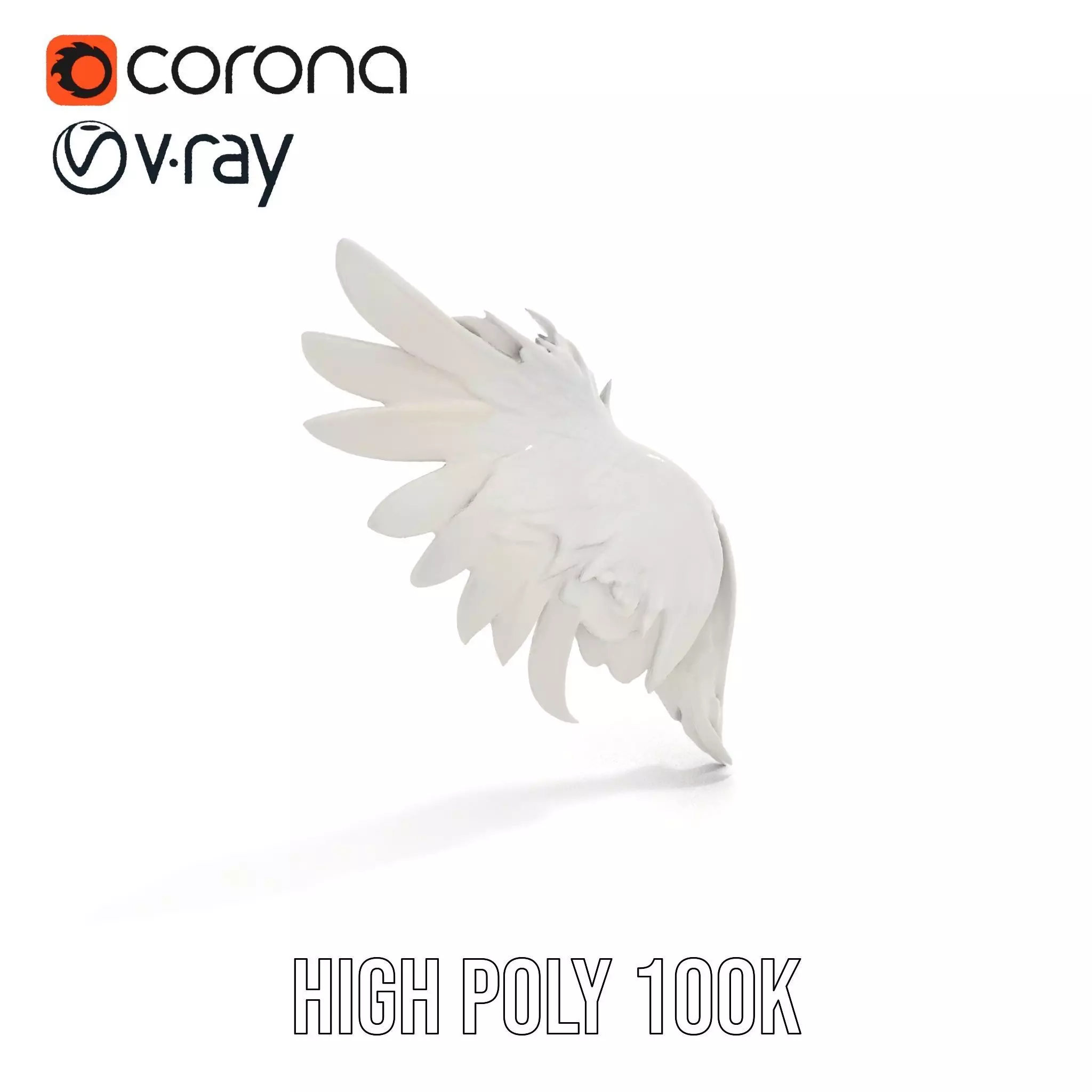 Elegant Feather Wing model pack Low-poly 3D model_27
