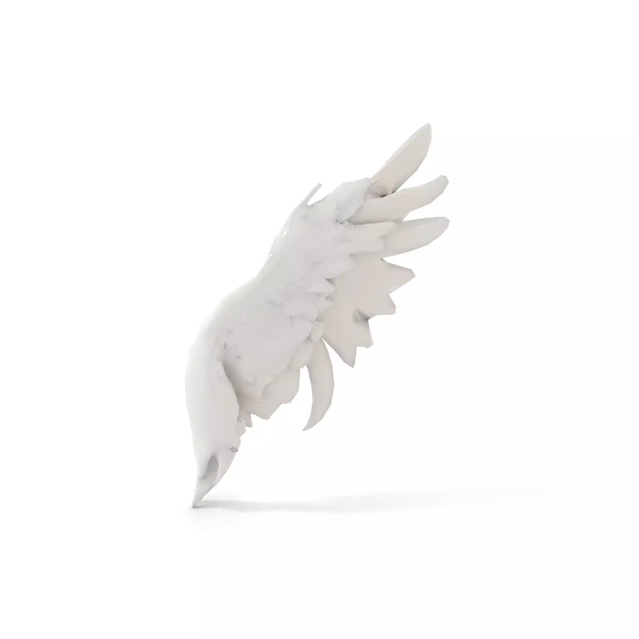 Elegant Feather Wing model pack Low-poly 3D model_13