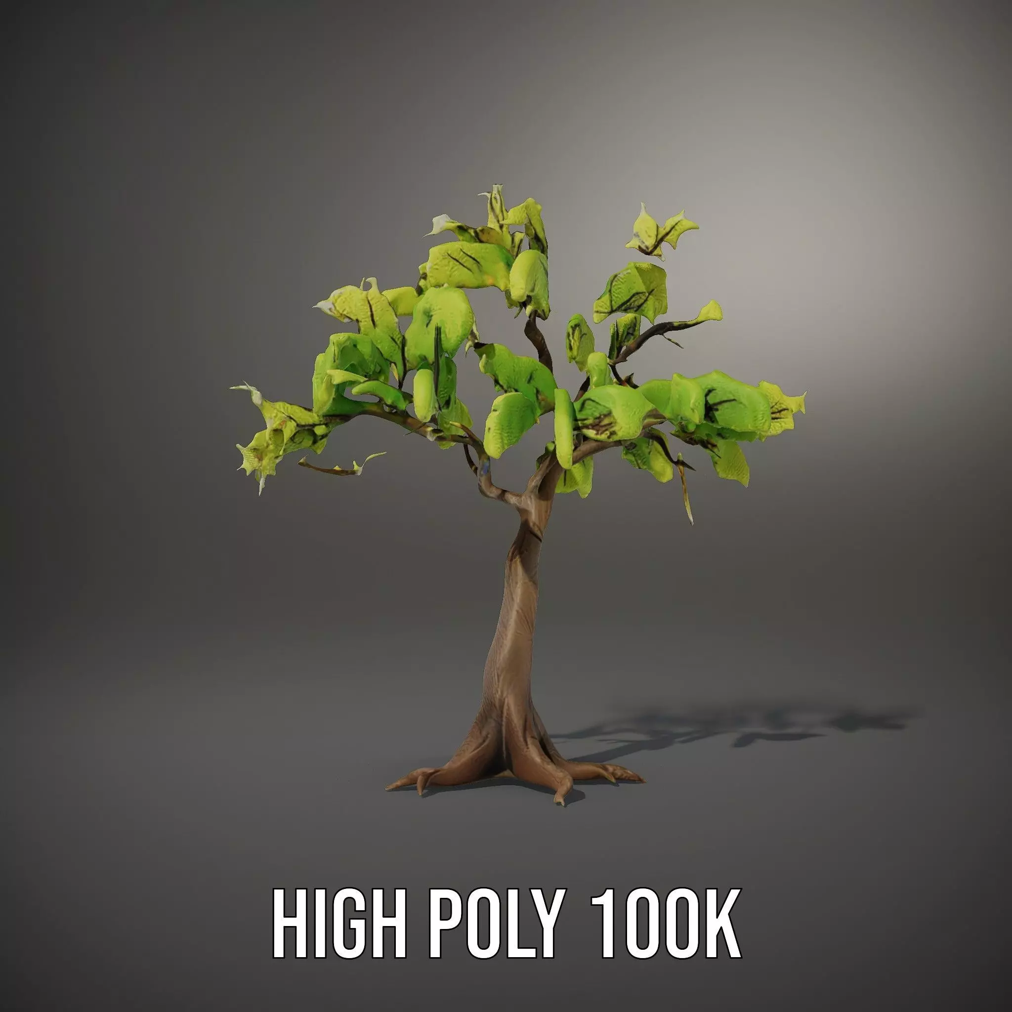 Verdant Elm Tree model pack Low-poly 3D model_35