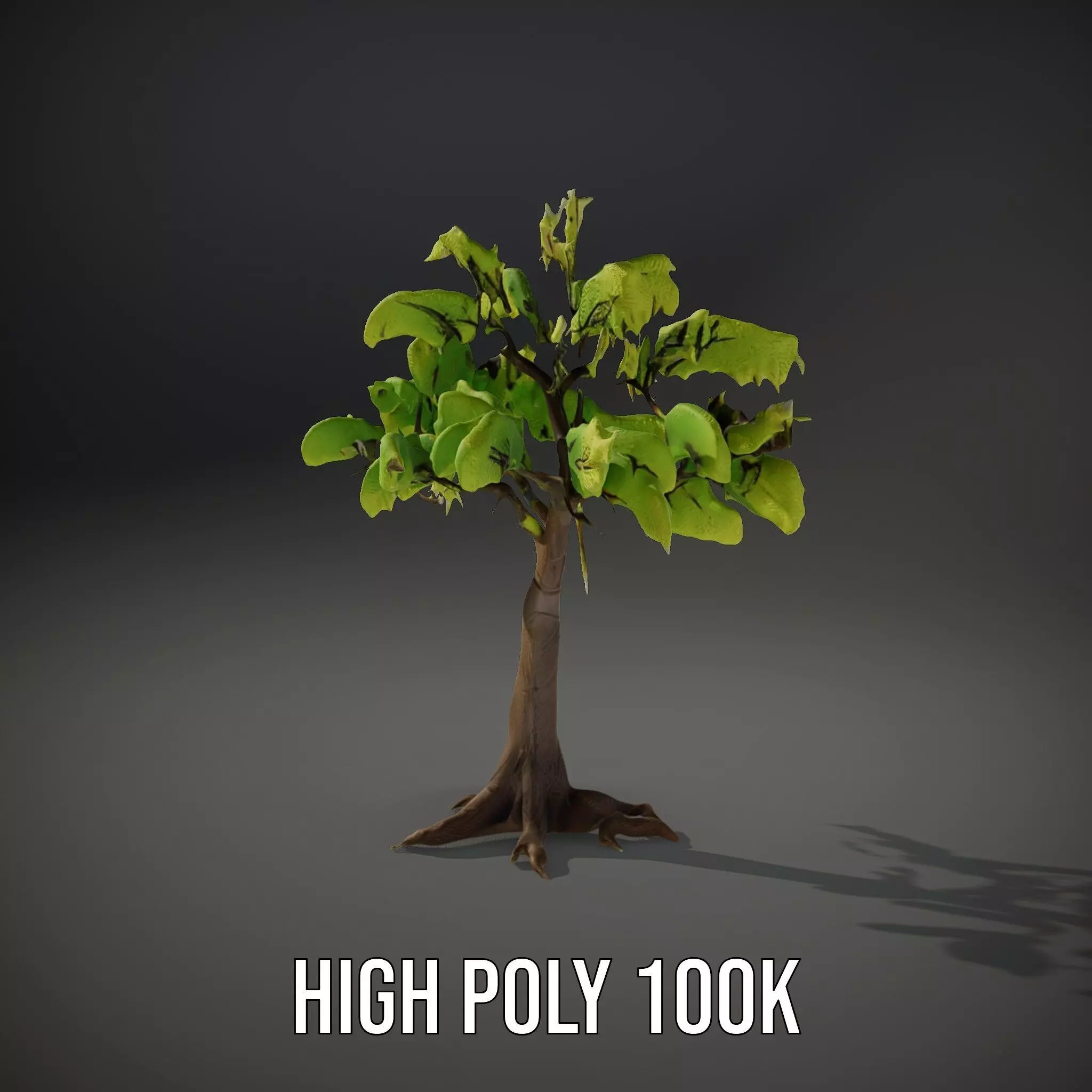 Verdant Elm Tree model pack Low-poly 3D model_34