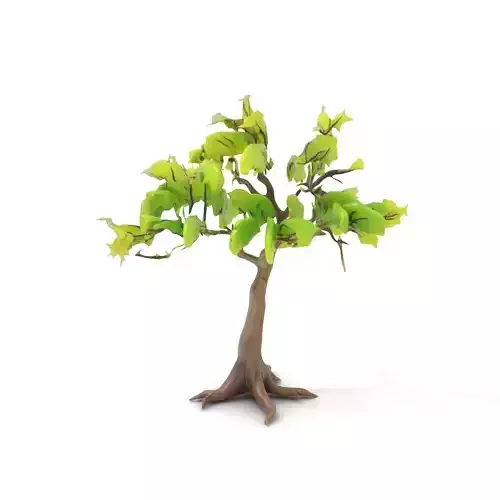 Verdant Elm Tree model pack Low-poly 3D model