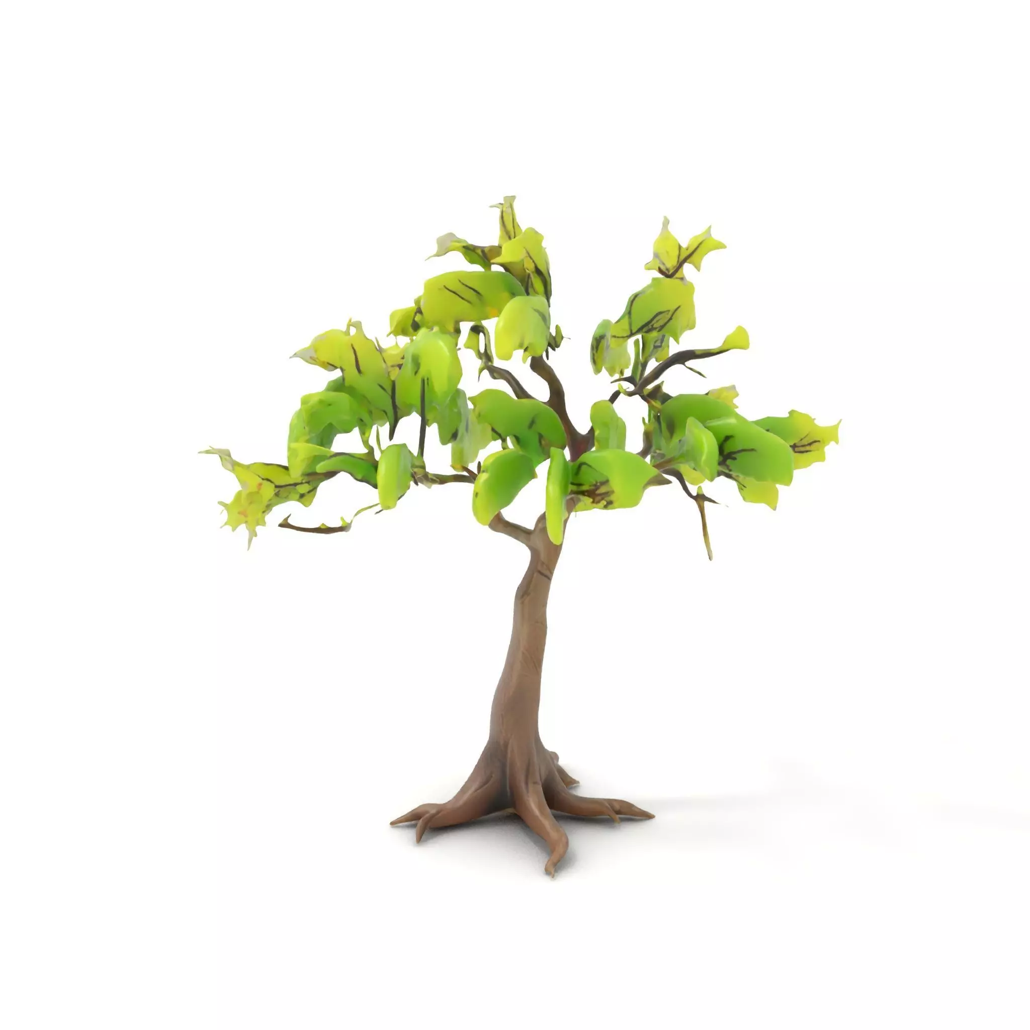 Verdant Elm Tree model pack Low-poly 3D model_0