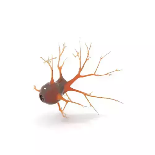 Intricate Neuron Cell model pack