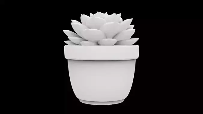 Spiral Succulent in Pot 3d Print Model