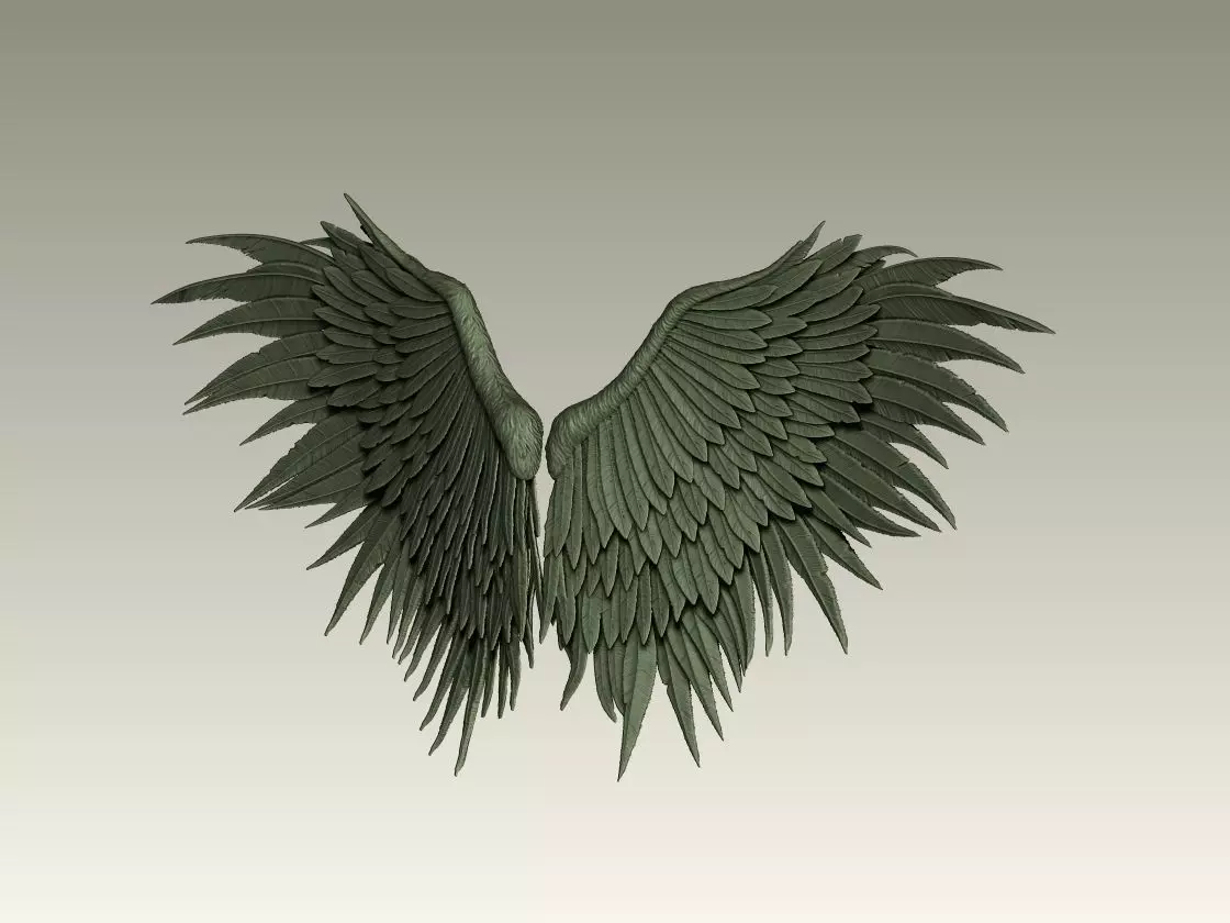 Wing Model 04 3D print model_3