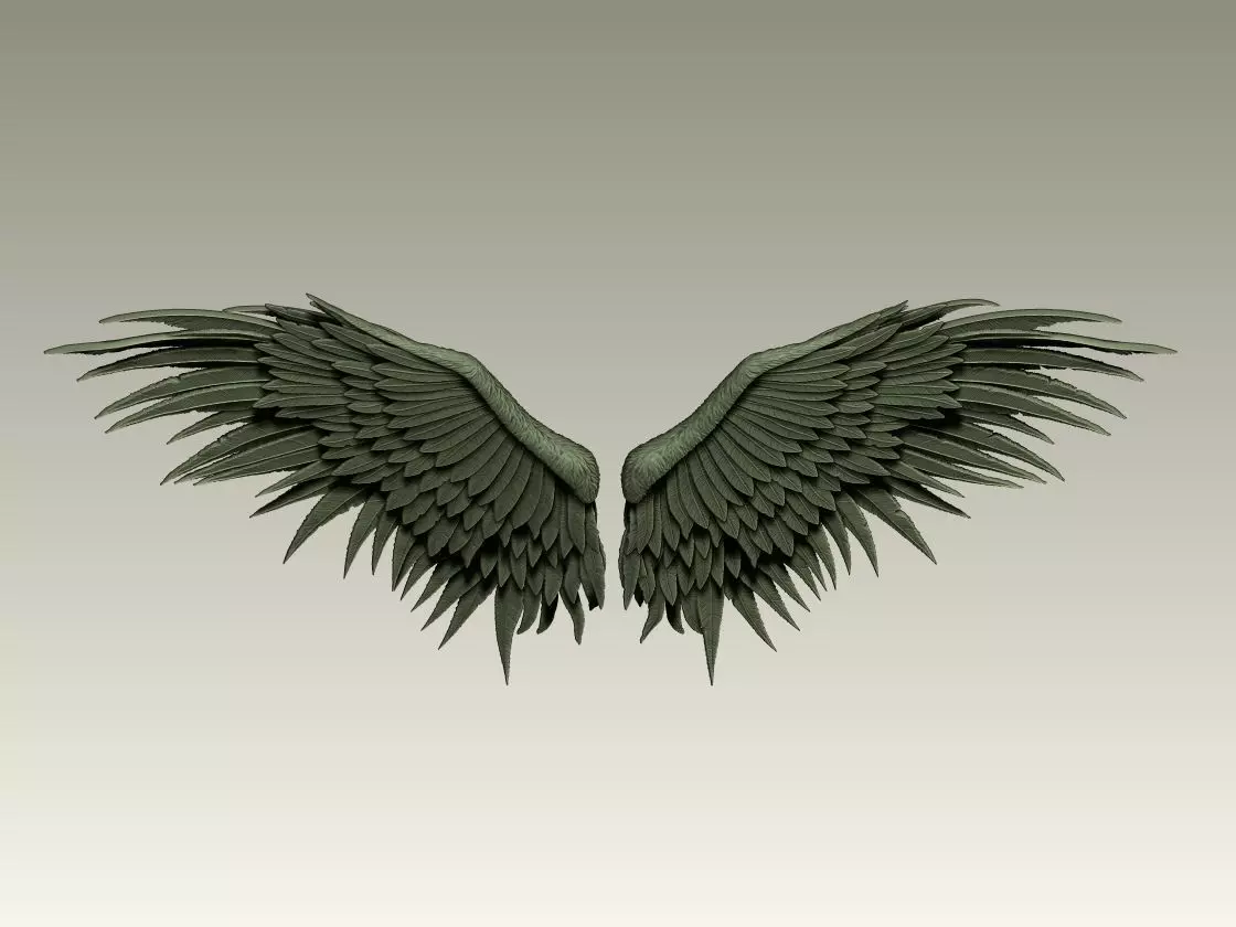 Wing Model 04 3D print model_1