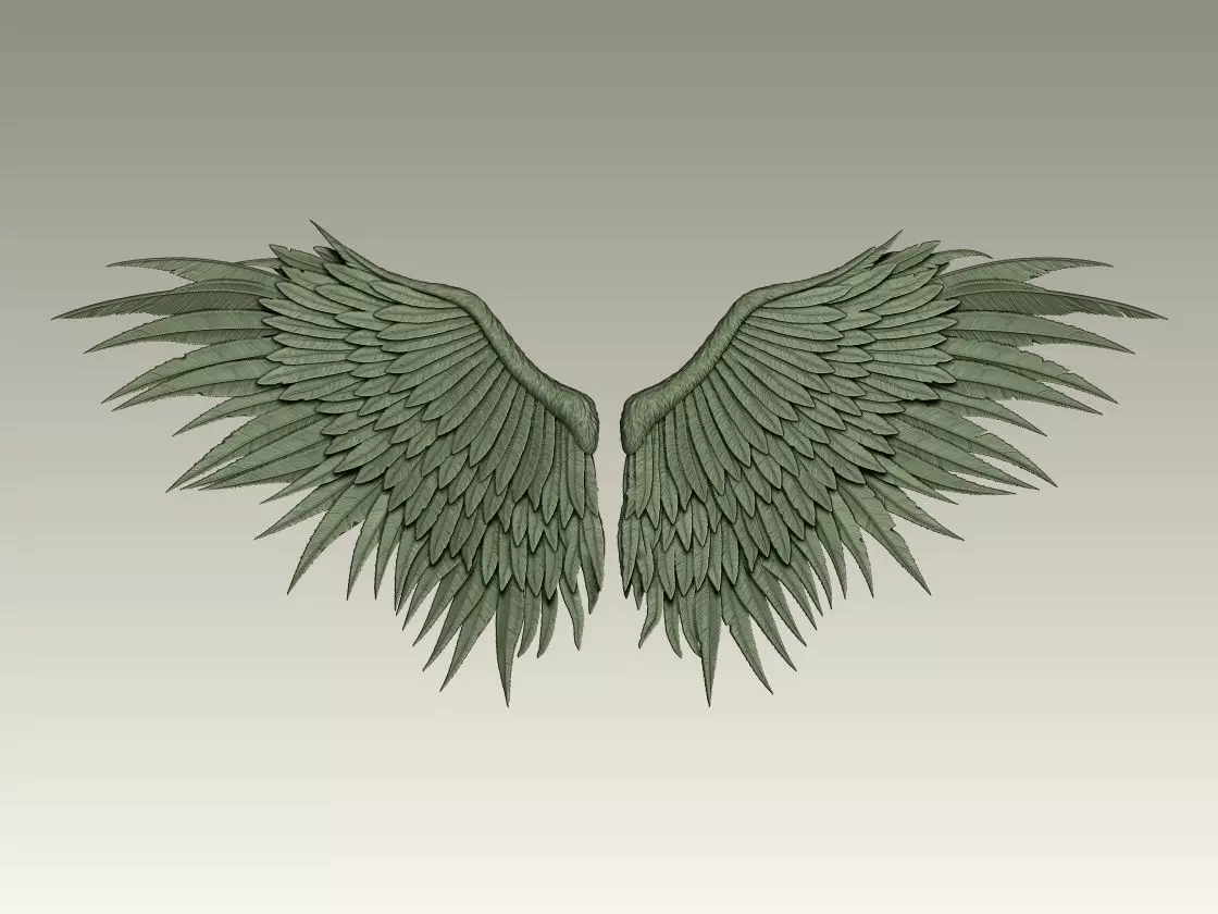 Wing Model 04 3D print model_0