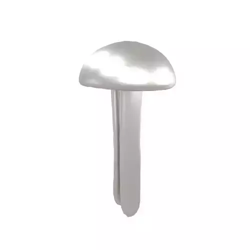 Round Head Nails v1 002