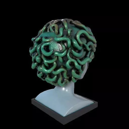 2087  Medusa Gorgon Head 3D Model  magic 3D print model_3