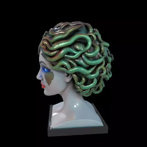 2087  Medusa Gorgon Head 3D Model  magic 3D print model_16