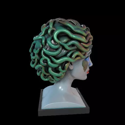 2087  Medusa Gorgon Head 3D Model  magic 3D print model_28