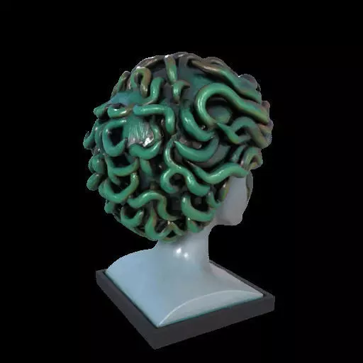 2087  Medusa Gorgon Head 3D Model  magic 3D print model_2