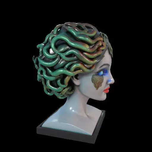 2087  Medusa Gorgon Head 3D Model  magic 3D print model_26