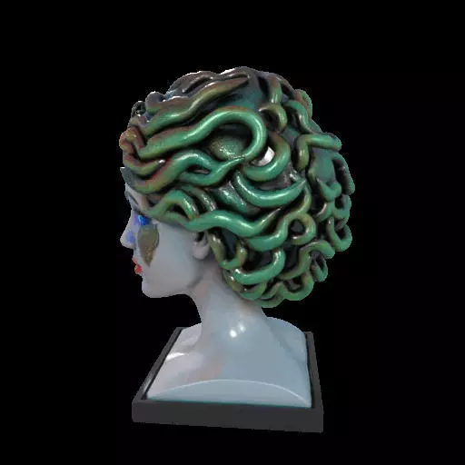 2087  Medusa Gorgon Head 3D Model  magic 3D print model_15