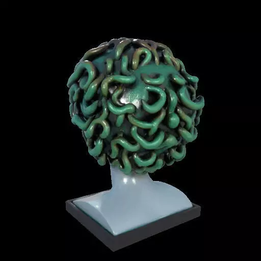 2087  Medusa Gorgon Head 3D Model  magic 3D print model_10