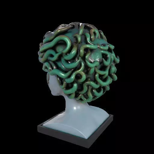 2087  Medusa Gorgon Head 3D Model  magic 3D print model_13