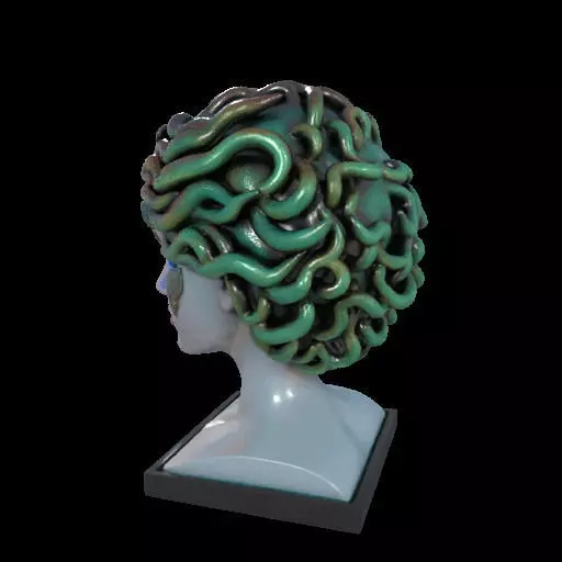 2087  Medusa Gorgon Head 3D Model  magic 3D print model_14