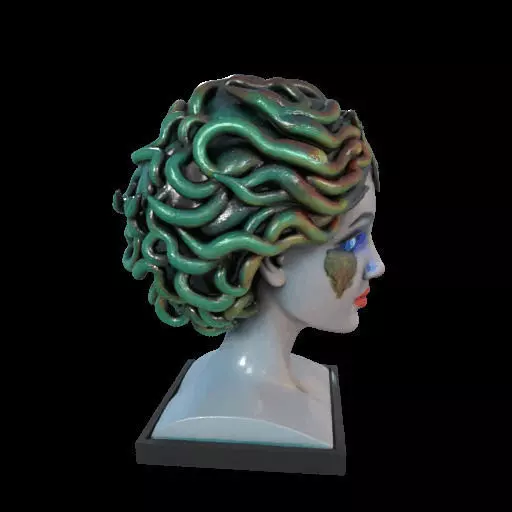 2087  Medusa Gorgon Head 3D Model  magic 3D print model_27