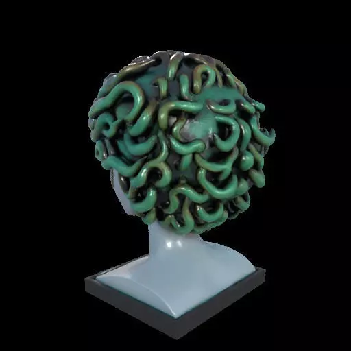 2087  Medusa Gorgon Head 3D Model  magic 3D print model_11
