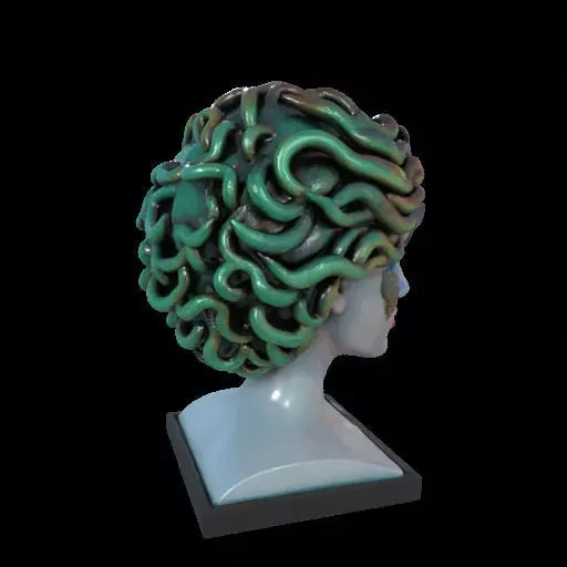 2087  Medusa Gorgon Head 3D Model  magic 3D print model_29